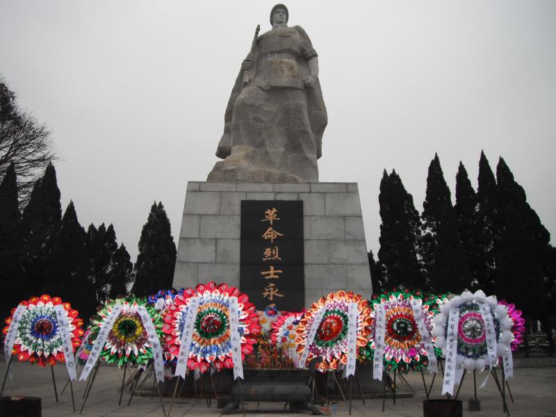 志愿者的心路历程,志愿者心路历程完整版