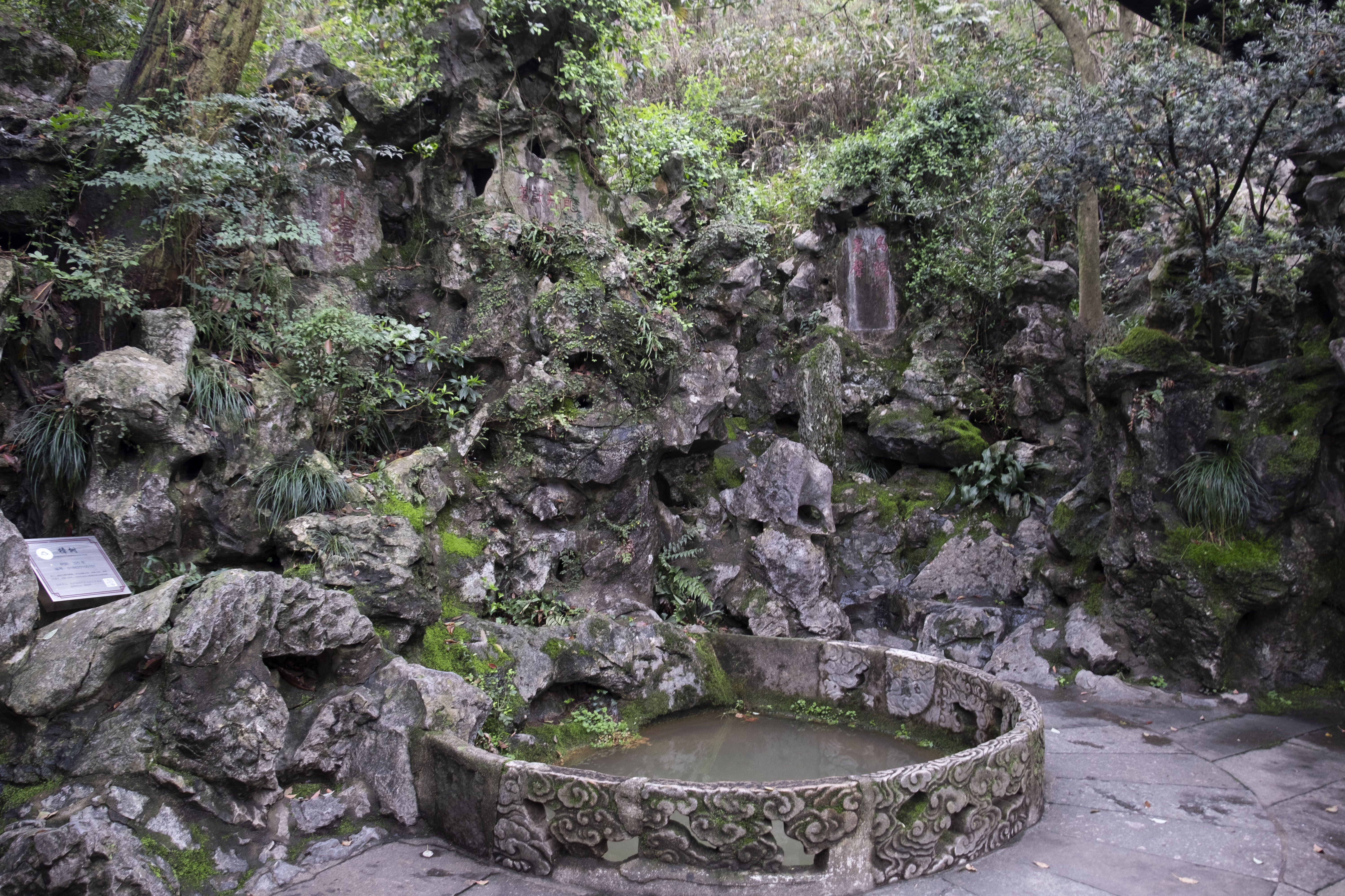 西湖龙井春茶季,龙井茶西湖明前春茶