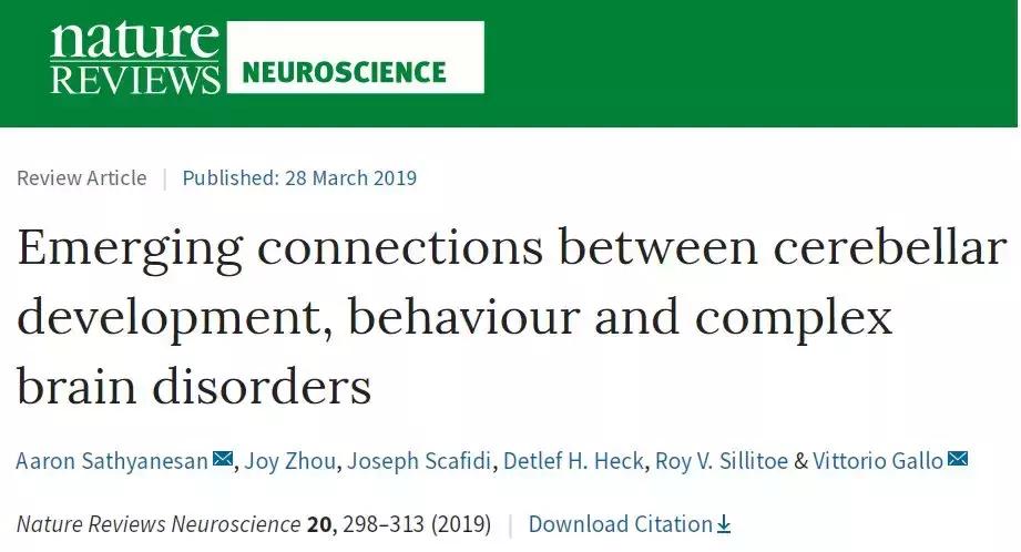 nature关于脑的成果,小脑功能最近研究