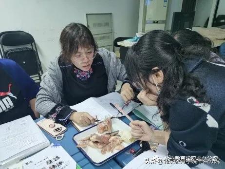 课程改革丨聚焦学科核心素养开展项目学习实践