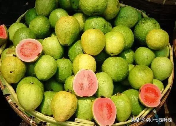 到马来西亚旅游,水果控一定不要错过这6种水果!