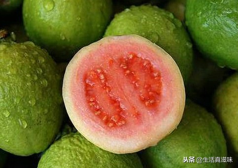 番石榴和其他水果的营养对比,番石榴营养丰富的热带水果