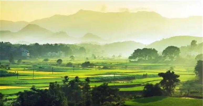 最先进的农贸市场设计,鄂州农贸市场设计案例