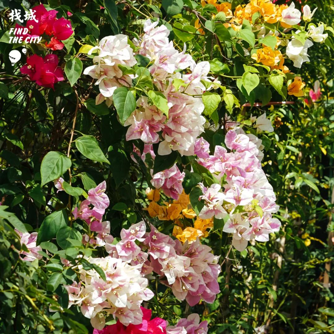 南宁拿货最便宜的市场,南宁最便宜的东西批发市场