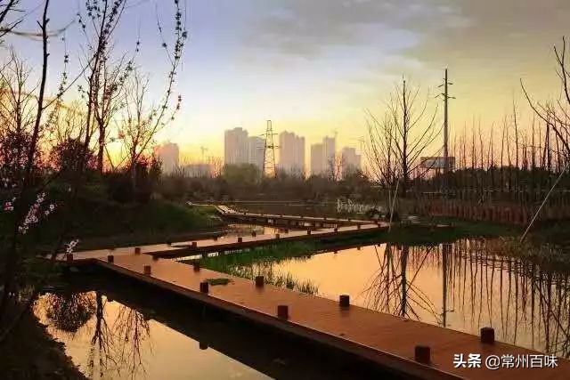 常州免费风景好的地方,常州散步地方有哪些景点