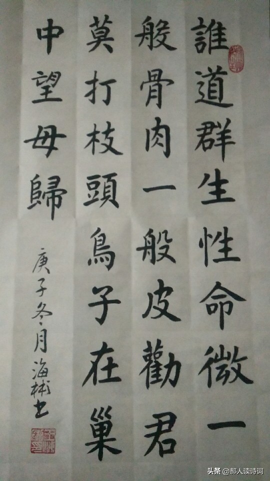 人类与自然和谐共生的诗,人类自然和谐共生古诗