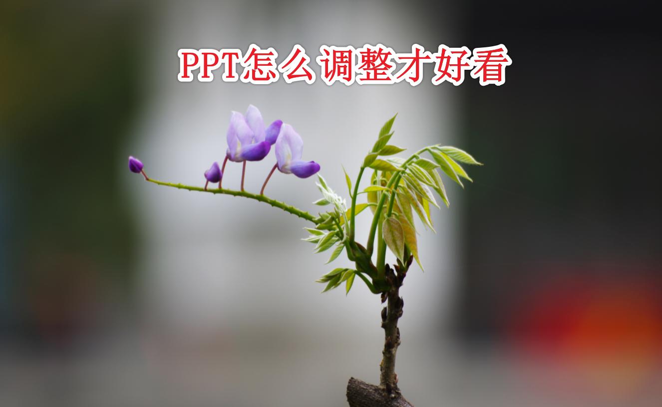宽屏ppt怎么铺满大屏,ppt设置了16:9显示还是不完全
