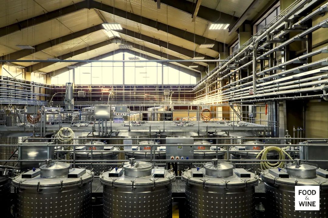 中国造葡萄酒,中国制造的葡萄酒