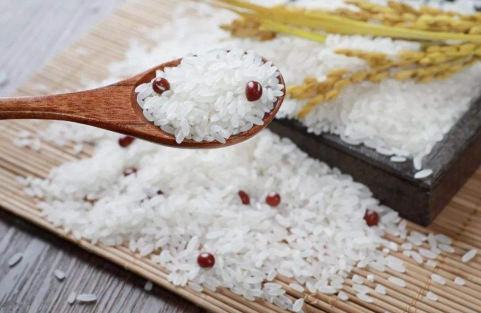 米饭放久了里的虫子是什么虫,米罐里有小虫子怎么办