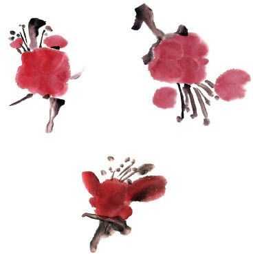 零基础梅花花朵入门画法,零基础学国画梅花入门步骤