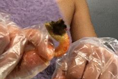 网红红黑榜,今年小龙虾排行榜