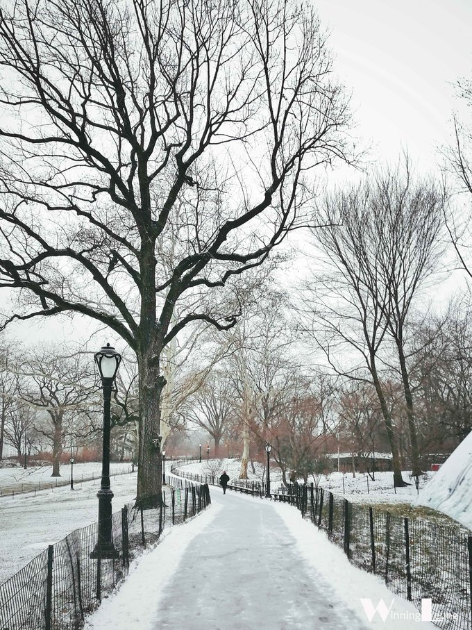 纽约中央公园世界奇迹,纽约中央公园浦东世纪公园