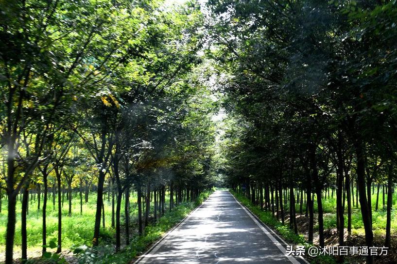 沭阳23个重大项目是哪些,沭阳重点发展的4个城镇