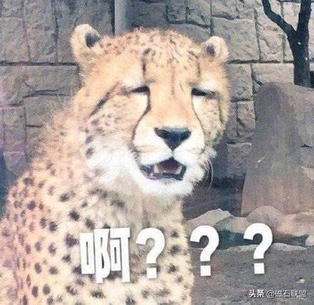 狗狗的各种口臭怎么办,狗狗口臭怎么办最快解决方法