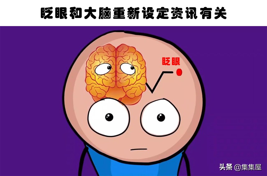 如果我们一直不眨眼会怎么样,如果我们连续一年只吃素会怎样