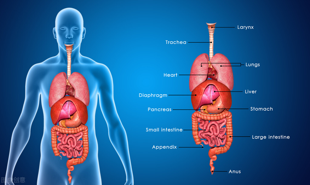 打封闭针可治骨关节炎吗,骨刺关节炎怎么治疗效果最好