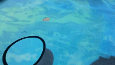 首探珠海长隆海洋科学酒店揭秘！超多高科技的国内顶级亲子酒店