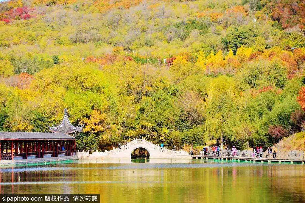 部分免费！北京赏秋“性价比”最高选择都在这儿了！