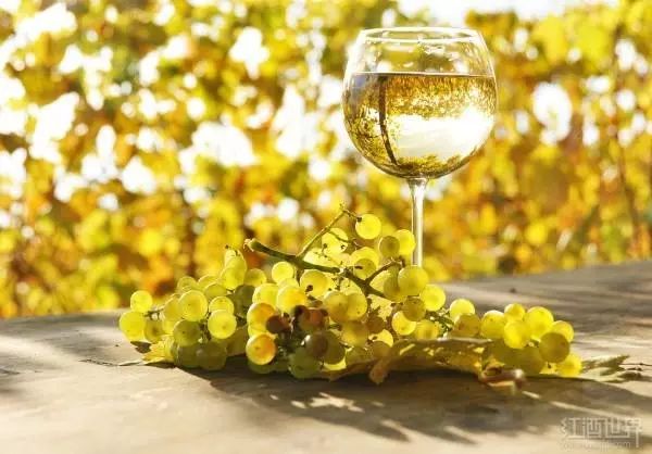 葡萄酒基本配餐原则,葡萄酒配餐的一般原则有哪些