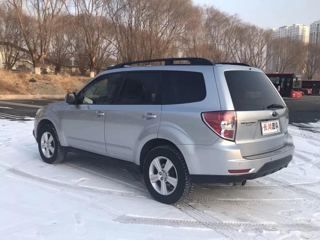 偷吃的后果视频,斯巴鲁森林人着不住火