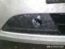 acc自适应巡航驾驶智能辅助,汽车acc自适应巡航模块控制单元