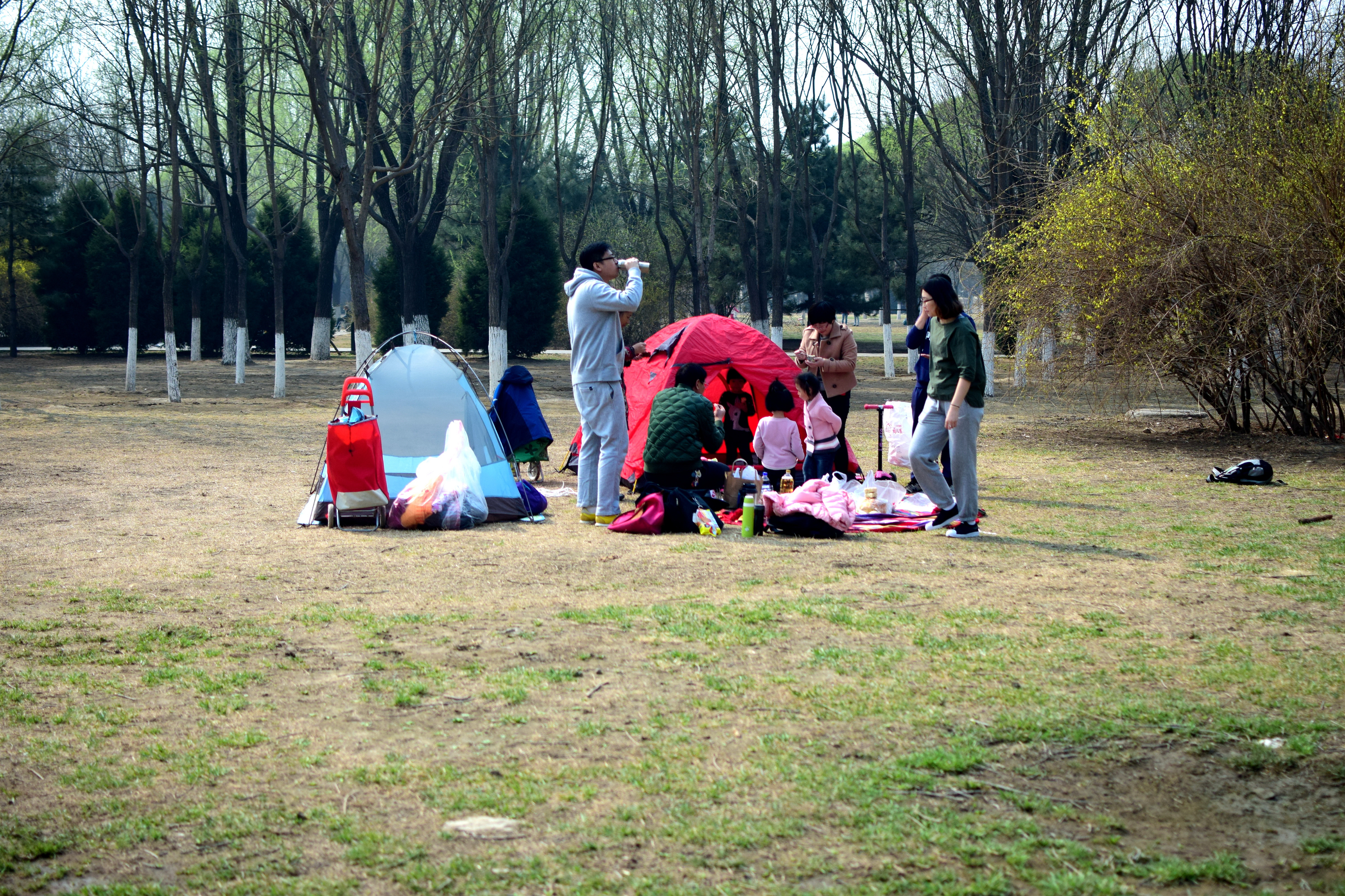 北京奥森让搭帐篷吗,奥森公园禁止营业吗