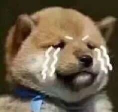 结膜炎流眼泪用眼药水没用怎么办,结膜炎眼睛流眼泪严重用什么药水