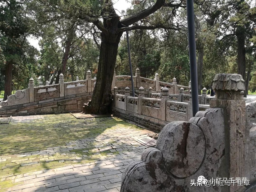 世界文化遗产曲阜孔庙孔林孔府,中国的世界文化遗产曲阜孔庙