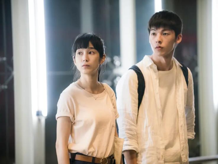 刺眼的光偏向的爱，《阳光普照》下无处可藏，亲情溢出是悲剧开始