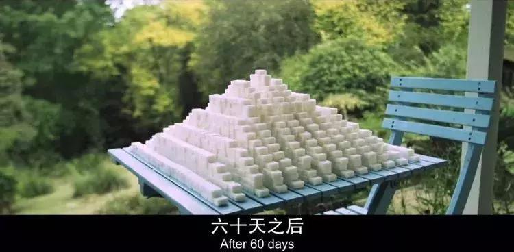 天天健身为什么还有脂肪肝,跑步一个月脂肪肝的变化