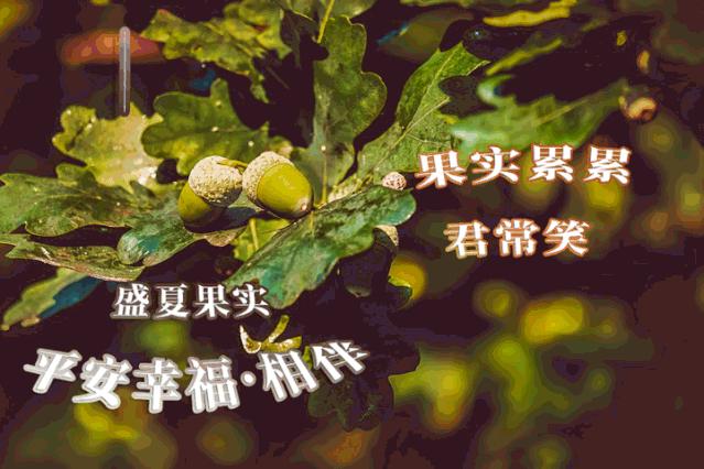 新版早上好问候语动态图片大全,周三最新早安问候语动态图片表情