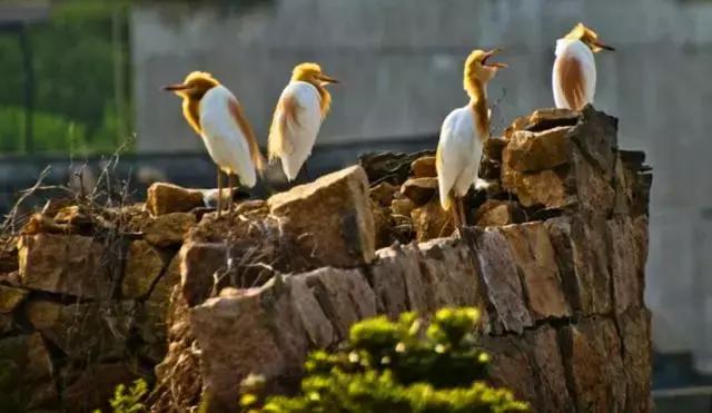 嵊泗天悦湾海景精品度假民宿,嵊泗泗礁岛海景民宿十大排名