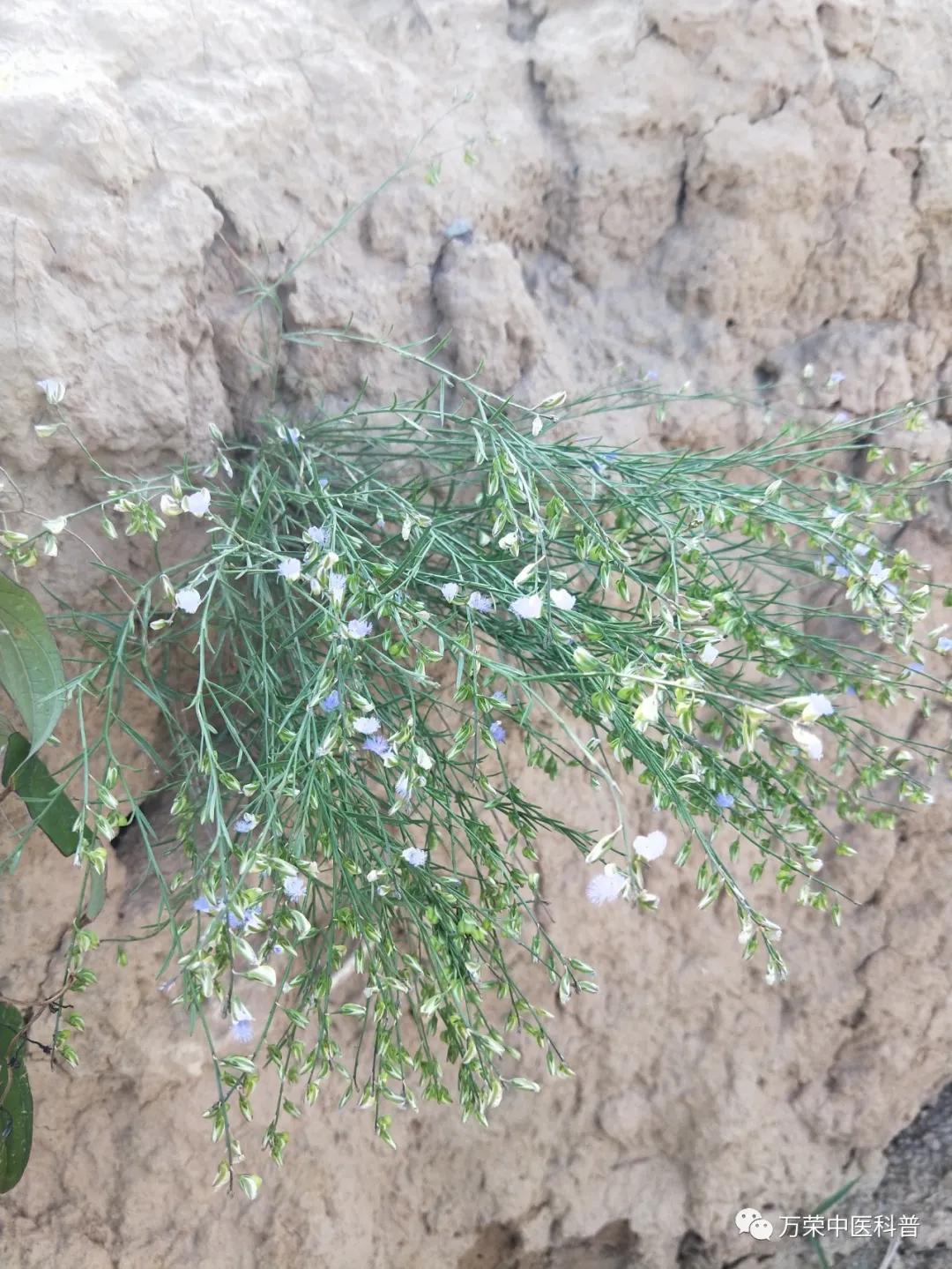 跟我回家在线免费看,跟我回家免费看