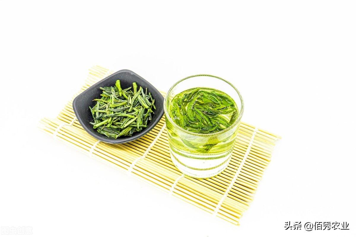 茶树与茶叶种植中禁止使用的农药,茶树种植后会越发越多吗