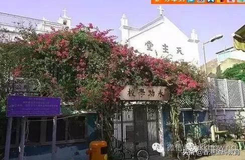 香港大澳渔村旅行,大澳渔村回归原始的香港记忆