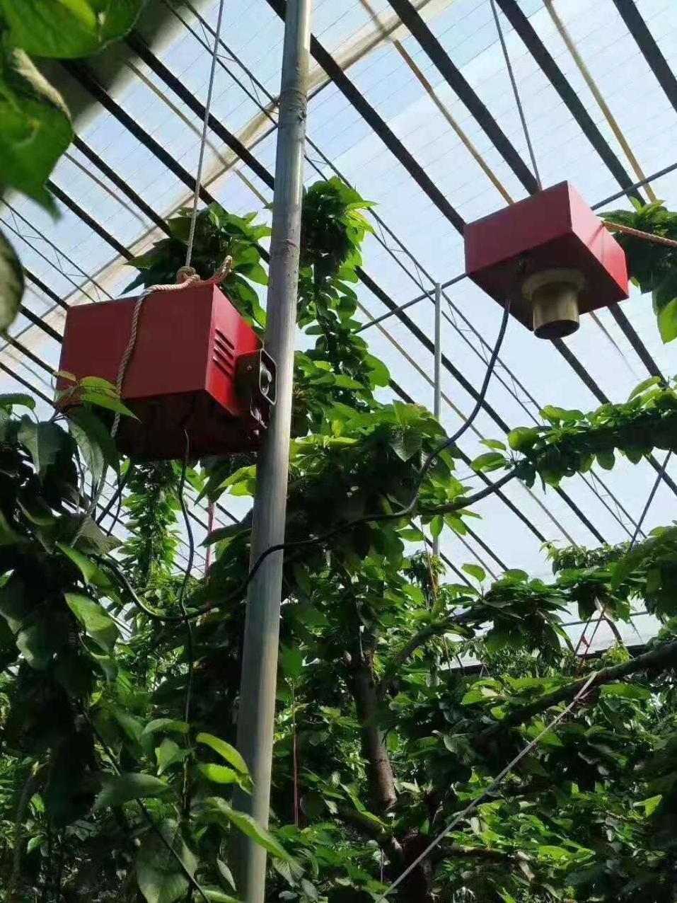 果园驱鸟猫头鹰赶鸟神器,果树防鸟驱鸟器