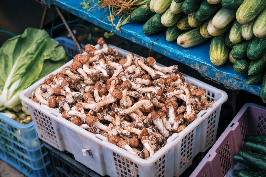 想泡温泉去哪个城市,想泡温泉不妨到成都这里来