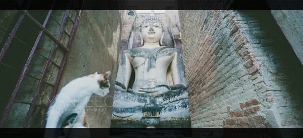 泰国旅游漫游,最新鲜玩转泰国攻略