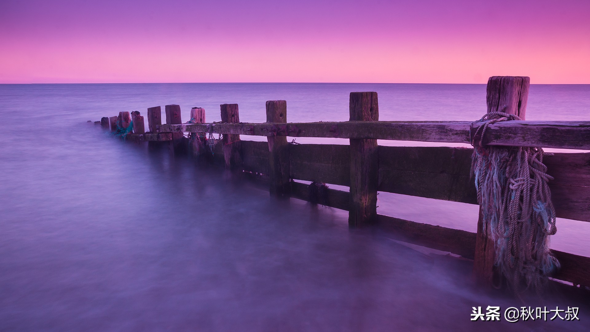 被领导排挤最明智的做法英语,被领导排挤最好的解决方法