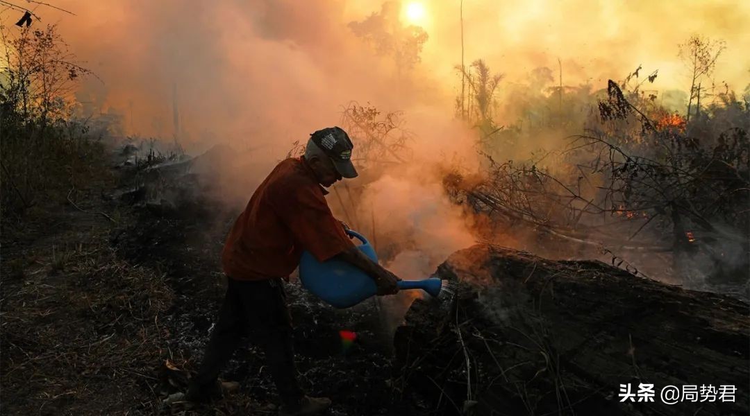 全球森林面积最低的国家排名,亚洲面积最大的人工红松森林