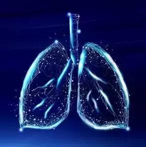 毒品祸害无穷吸毒的危害包括哪些,禁毒的危害知识摘抄