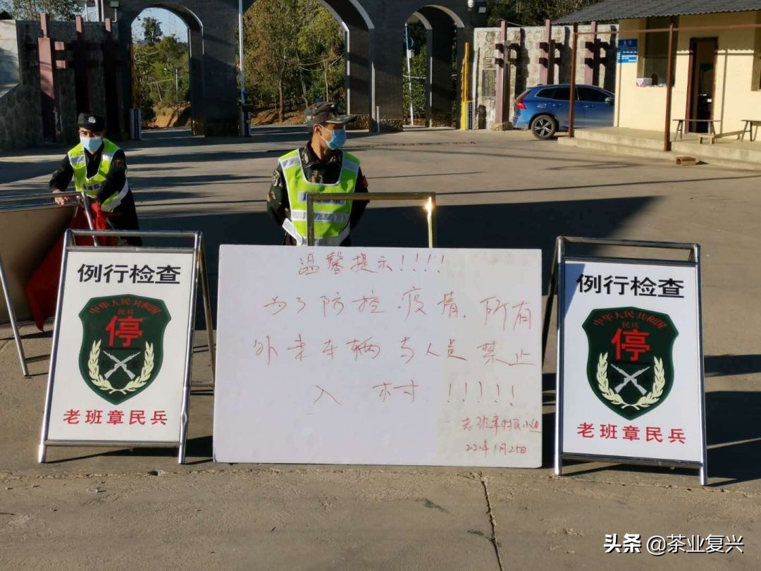 春茶好坏怎么看,春茶品鉴