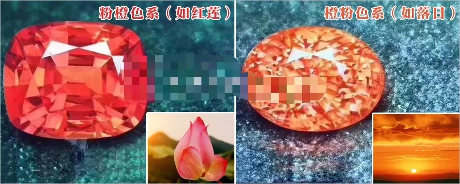 帕帕拉恰介绍,正统帕帕拉恰