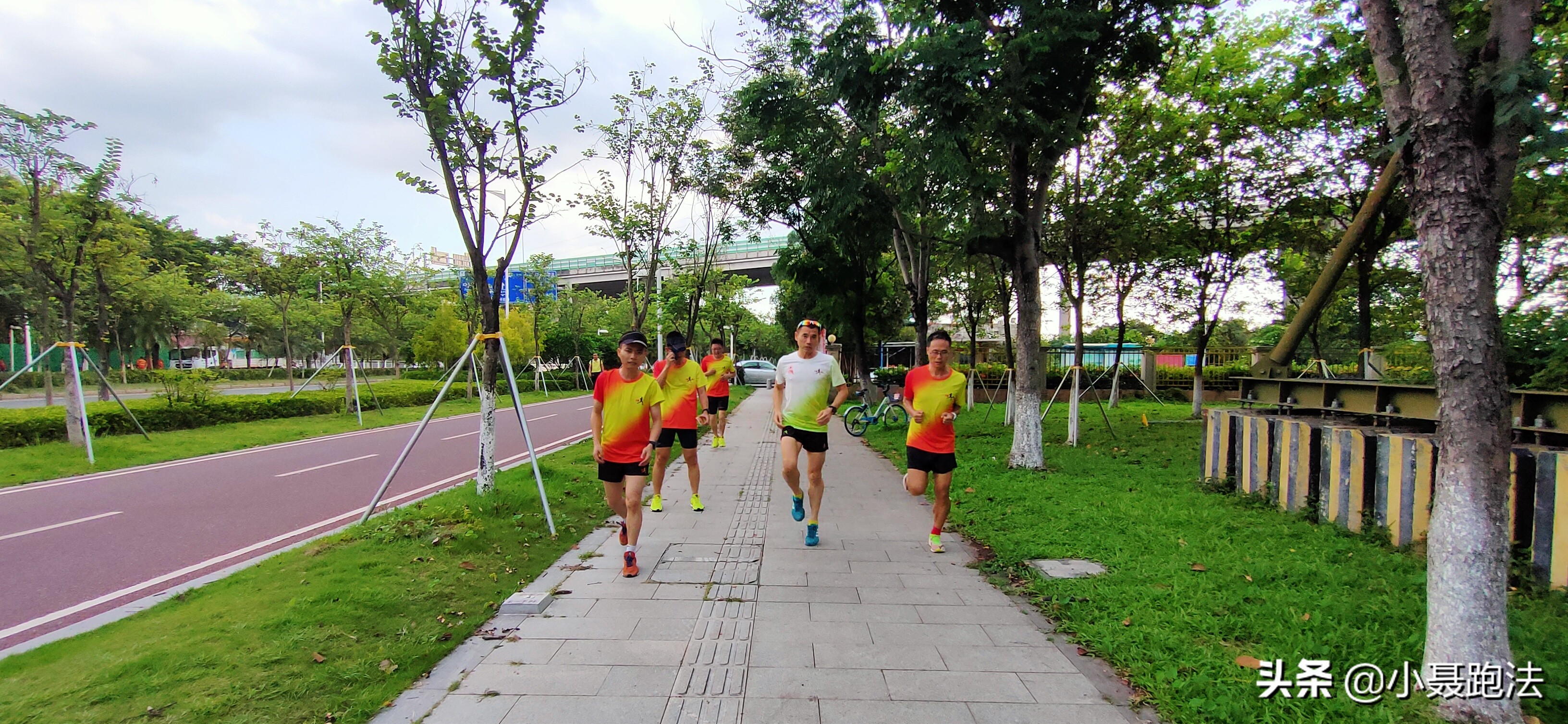 小聂跑法图解,小聂跑法的小聂是什么学历