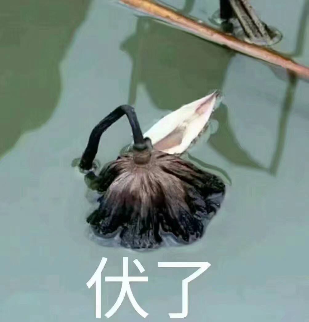 广州恒大足球场2023什么时候开工,广州恒大国际足球场