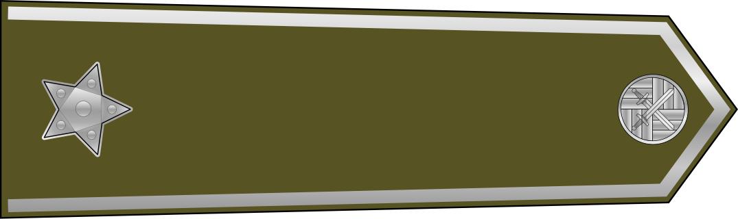 捷克军衔,捷克的军衔系统