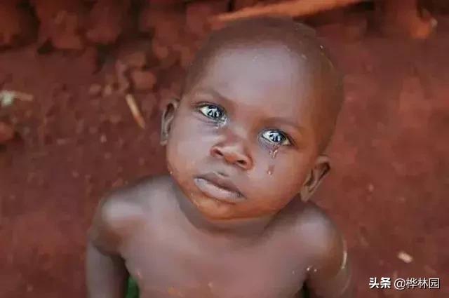 用零花钱给非洲挖了1000多口井，只因孩子眼泪，是那里最干净的水