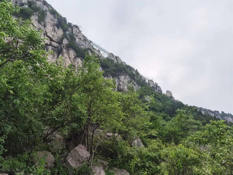 济南灵岩大佛山景区,济南灵岩寺大佛风景区