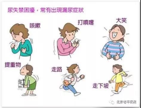 压力性与假性尿失禁,压力性尿失禁原因是什么