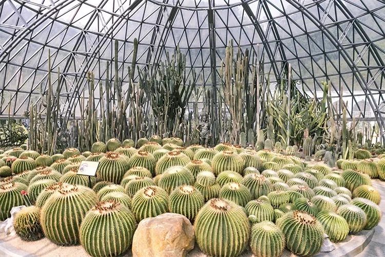 天下最美湖泊西湖,比西湖更美的湖泊